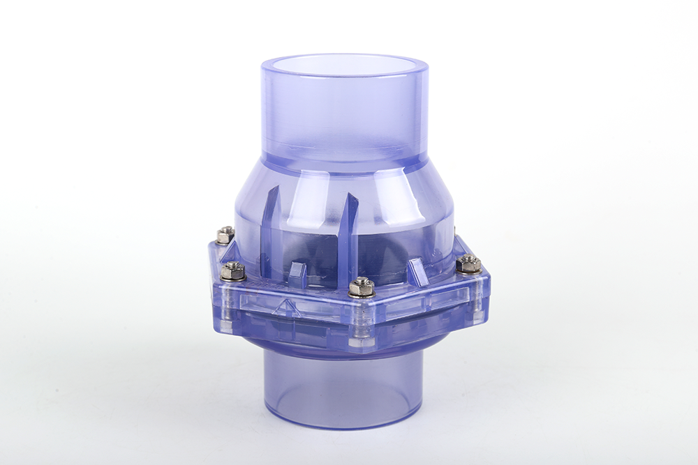 铁山透明翻板式止回阀